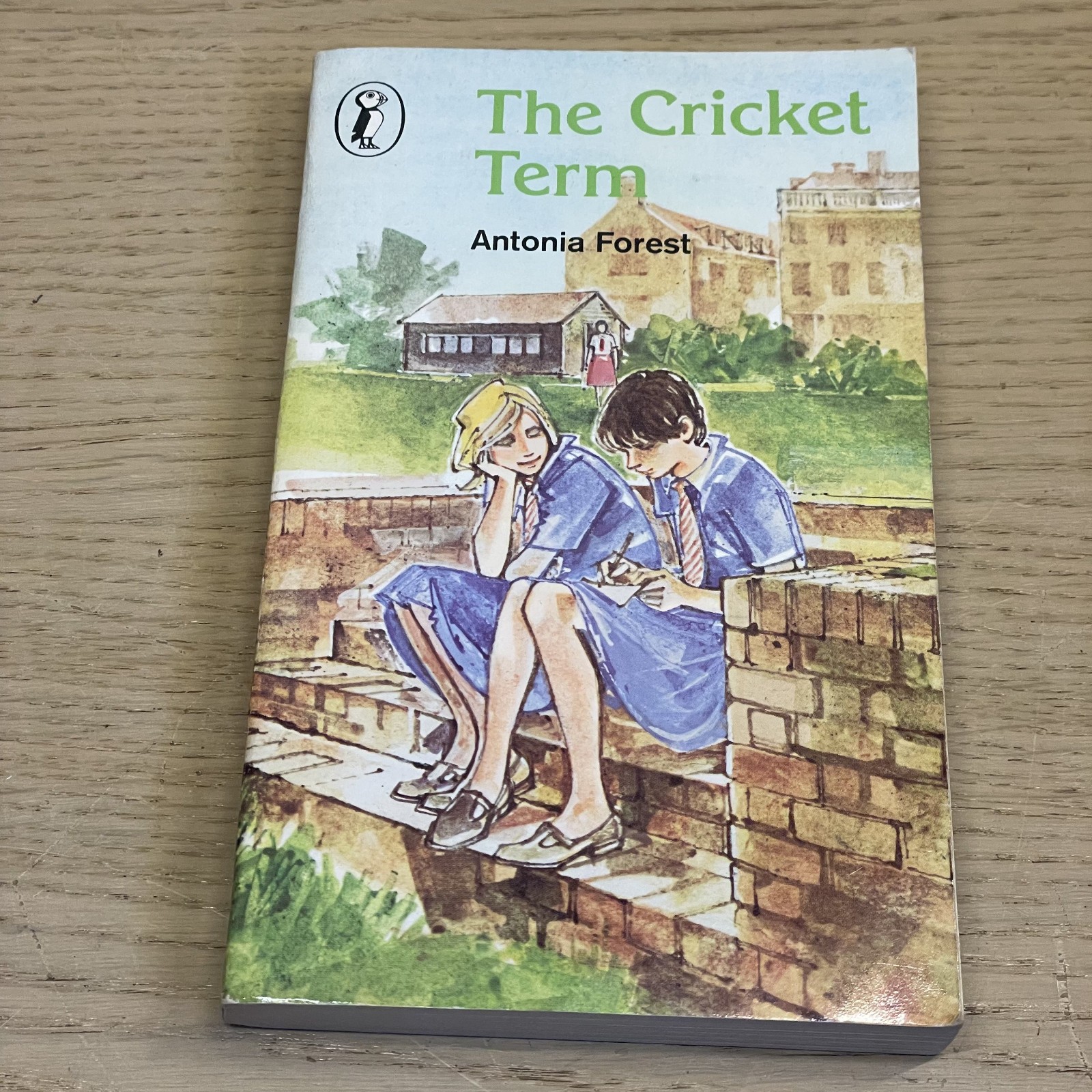 Antonia Forest THE CRICKET TERM Puffin pb 1981 Margery Gill cover illustration
