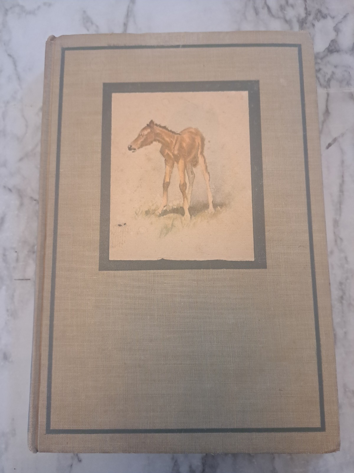 The Red Pony by John Steinbeck 1945 First Illustrated Edition Hardcover