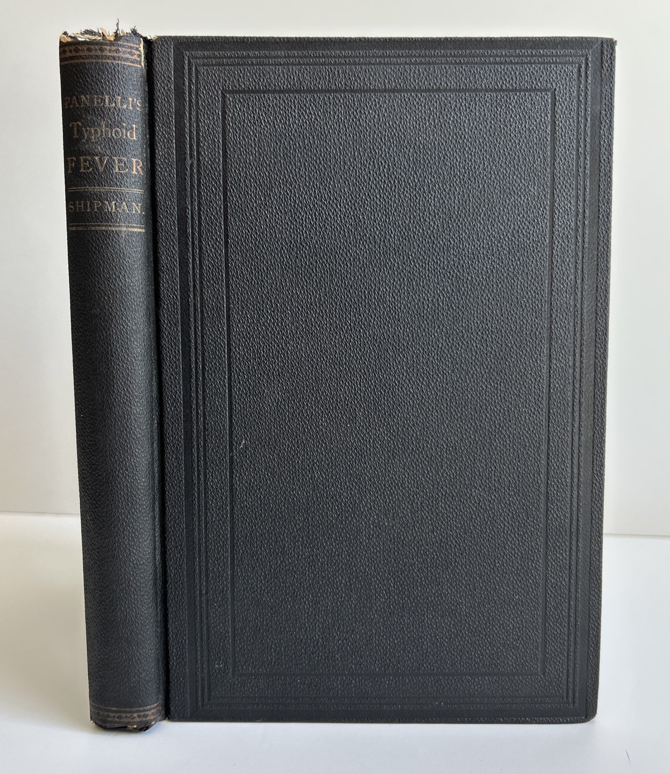 1878 Treatise on Typhoid Fever & Homeopathic Treatment Panelli Antique Medical