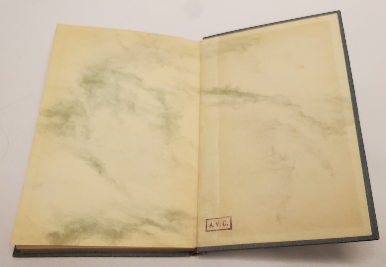 Vildfågels Fäste By Runa (Elisabeth Beskow) Cloth & Gilt Book in Swedish 1919