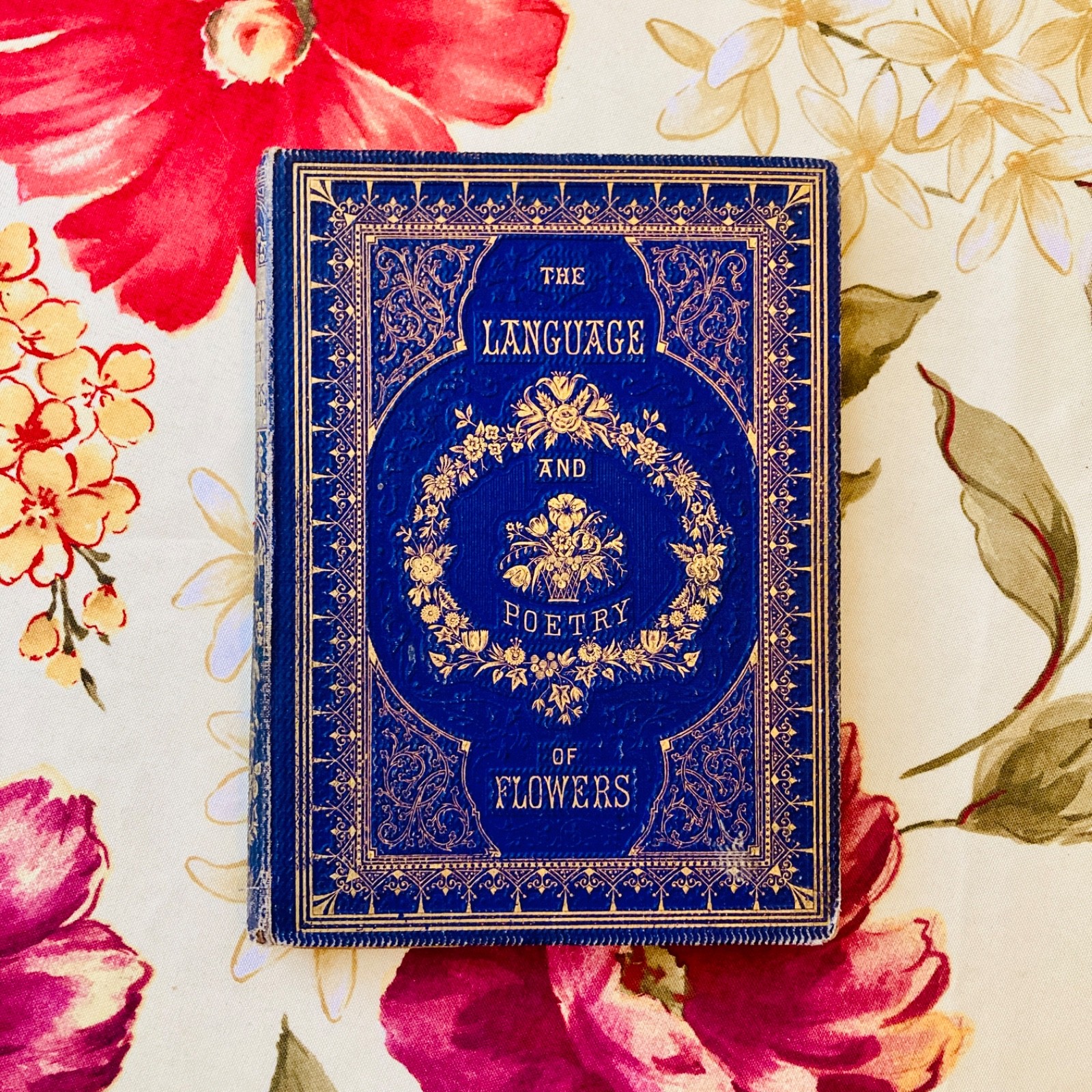 1858 Language of Flowers An Alphabet of Floral Emblems COLOR PLATES Antique Book
