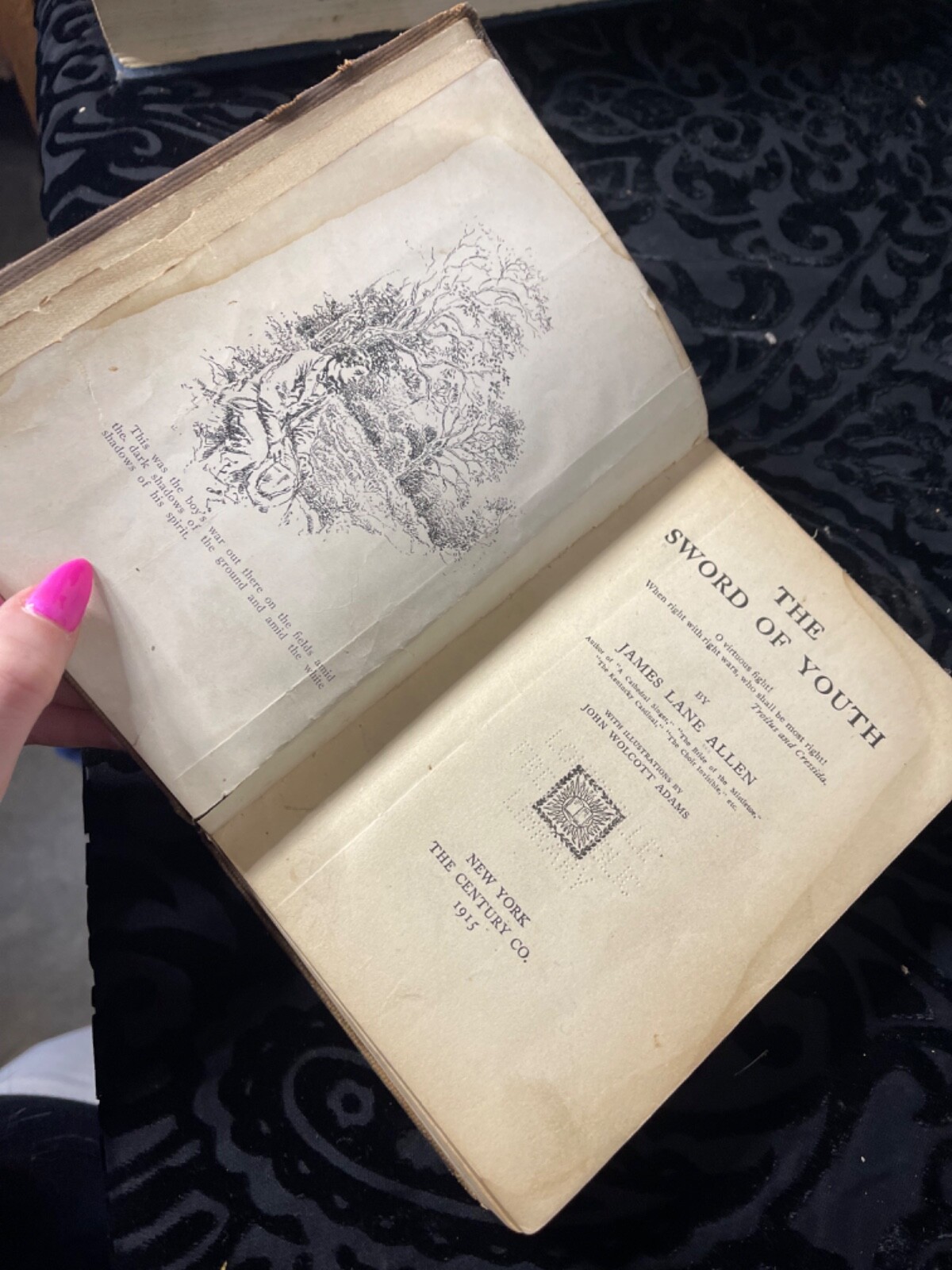 James Lane Allen / The Sword of Youth – HardCover 1915