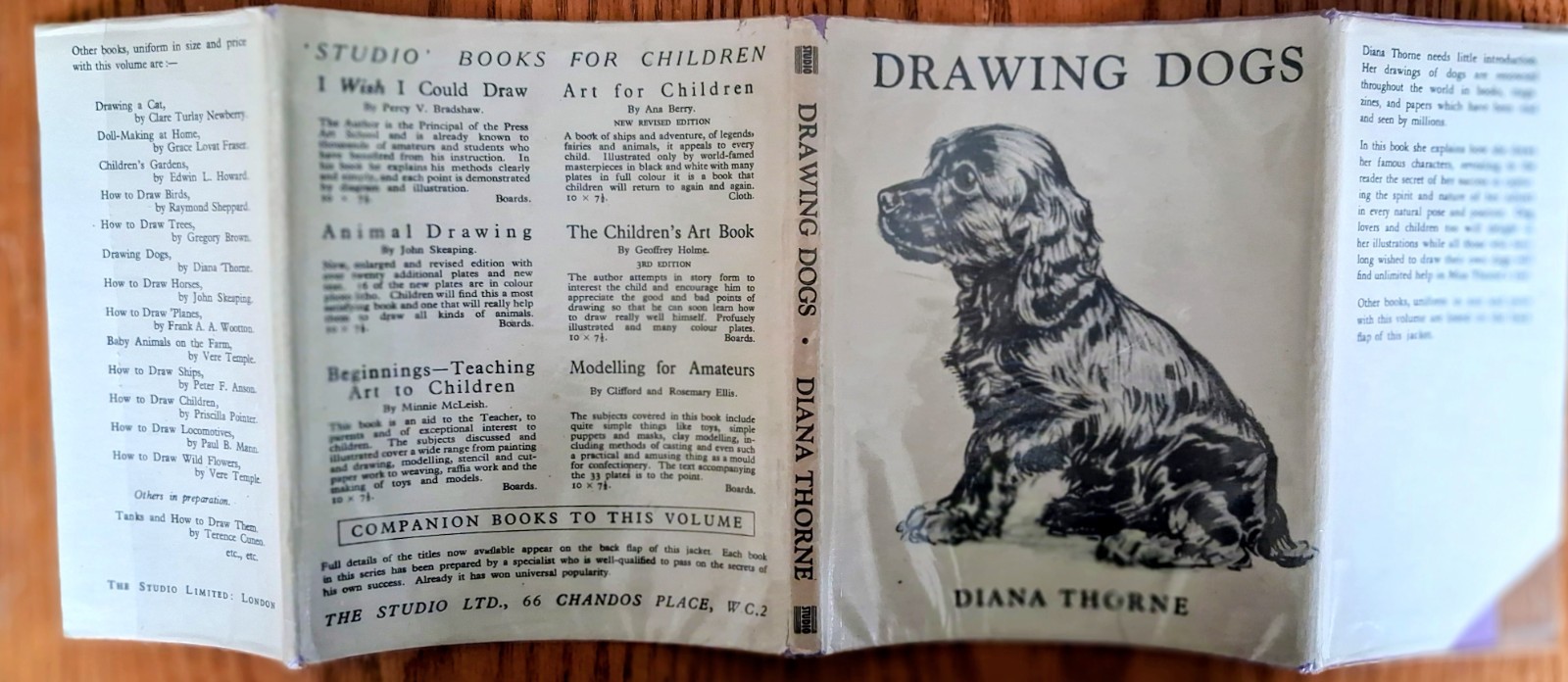 Drawing Dogs ,Diana Thorne ,The Studio :London & New York