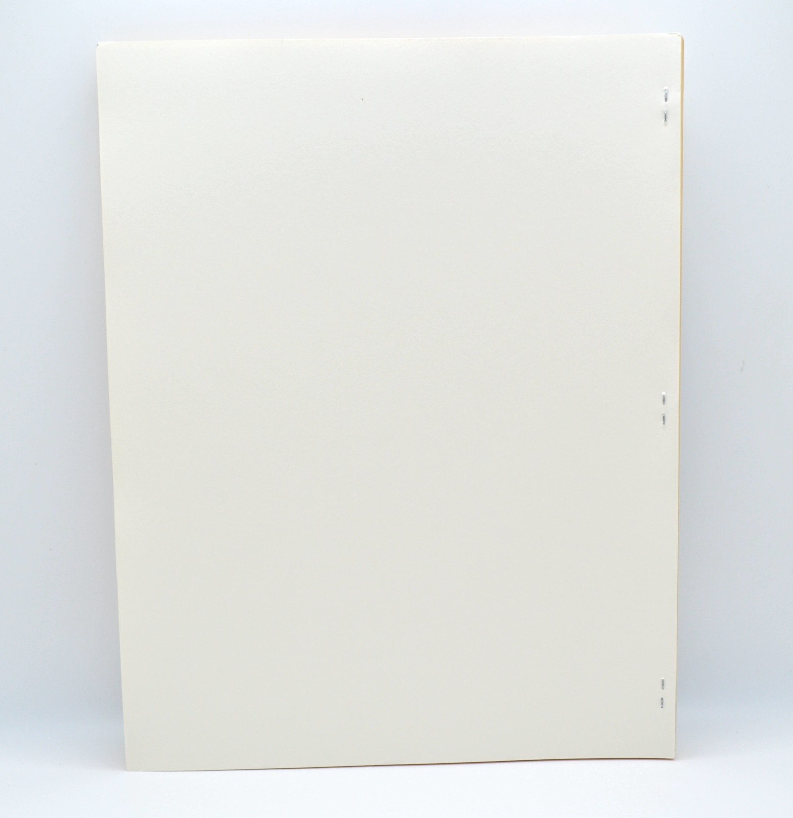 Random Sightings, d. a. levy, 1999, Limited Ed. #8/65, 46pp, Concrete Poetry