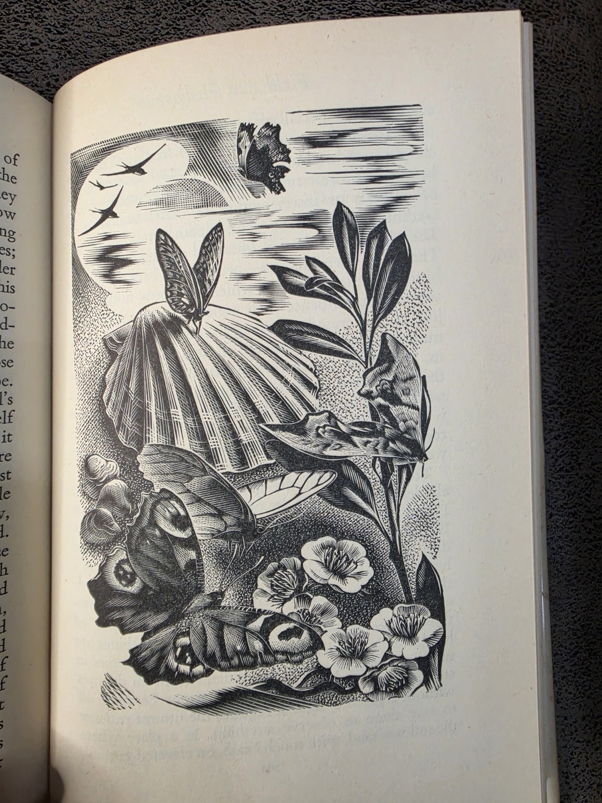 1948 Field and Hedgerow Richard Jefferies Lutterworth Press HC Dust Jacket