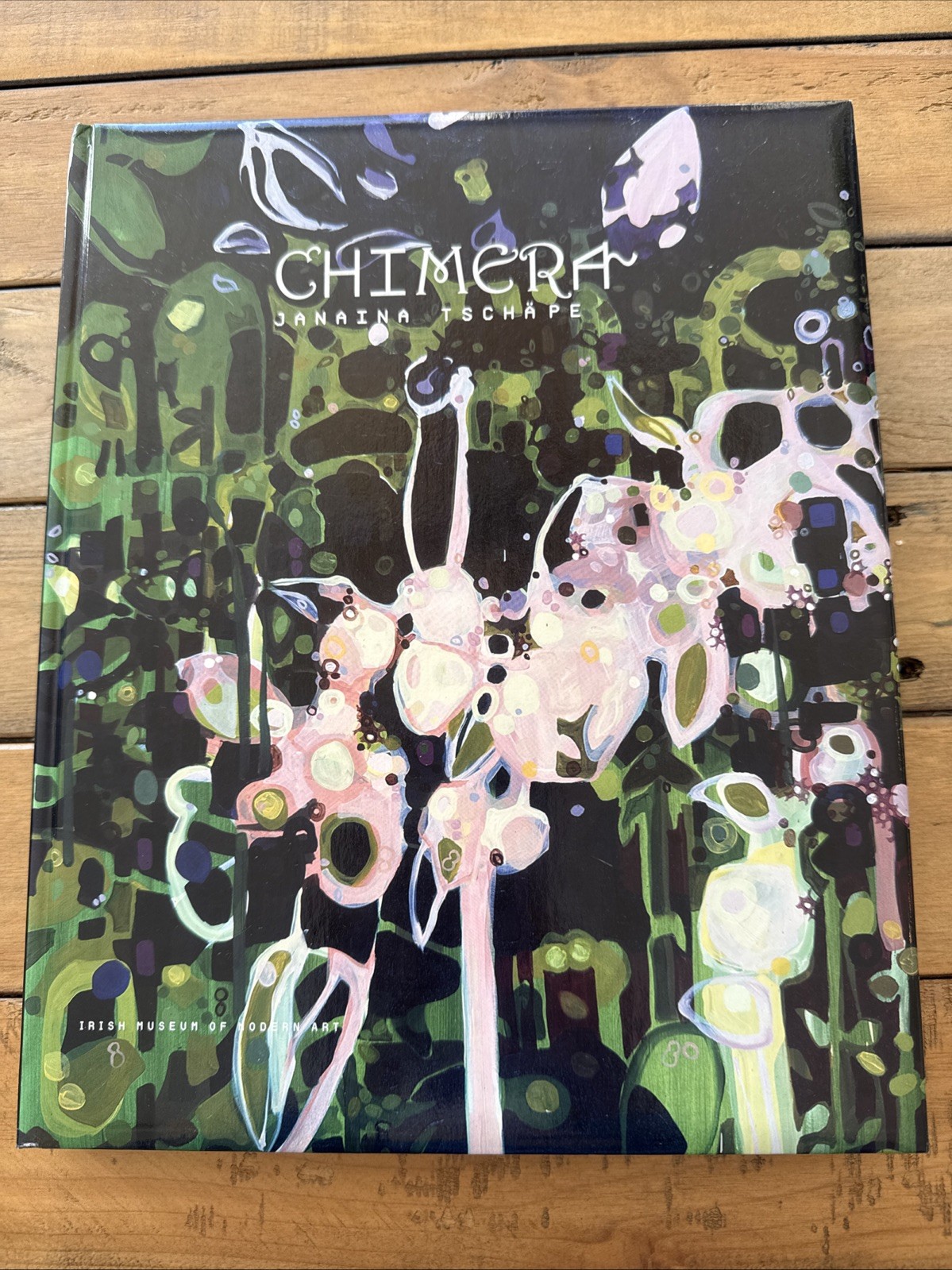 Chimera Janaina Tschape 1st 2008 Irish Museum Of Modern Art HC