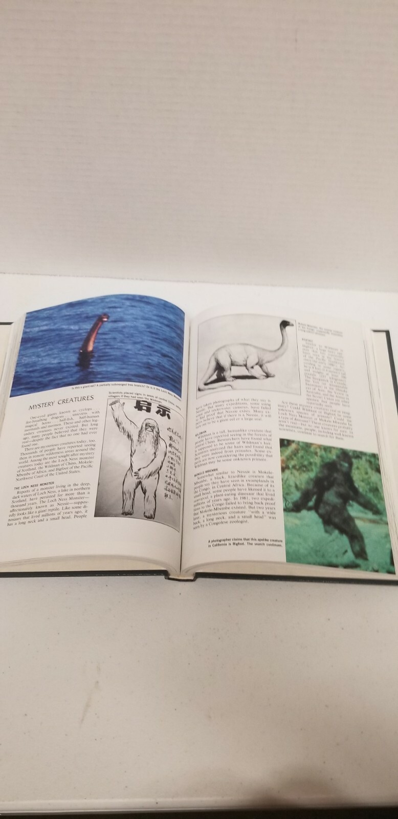 Southwestern Year Book. 1992. The Southwestern Company. Nashville. Tn.
