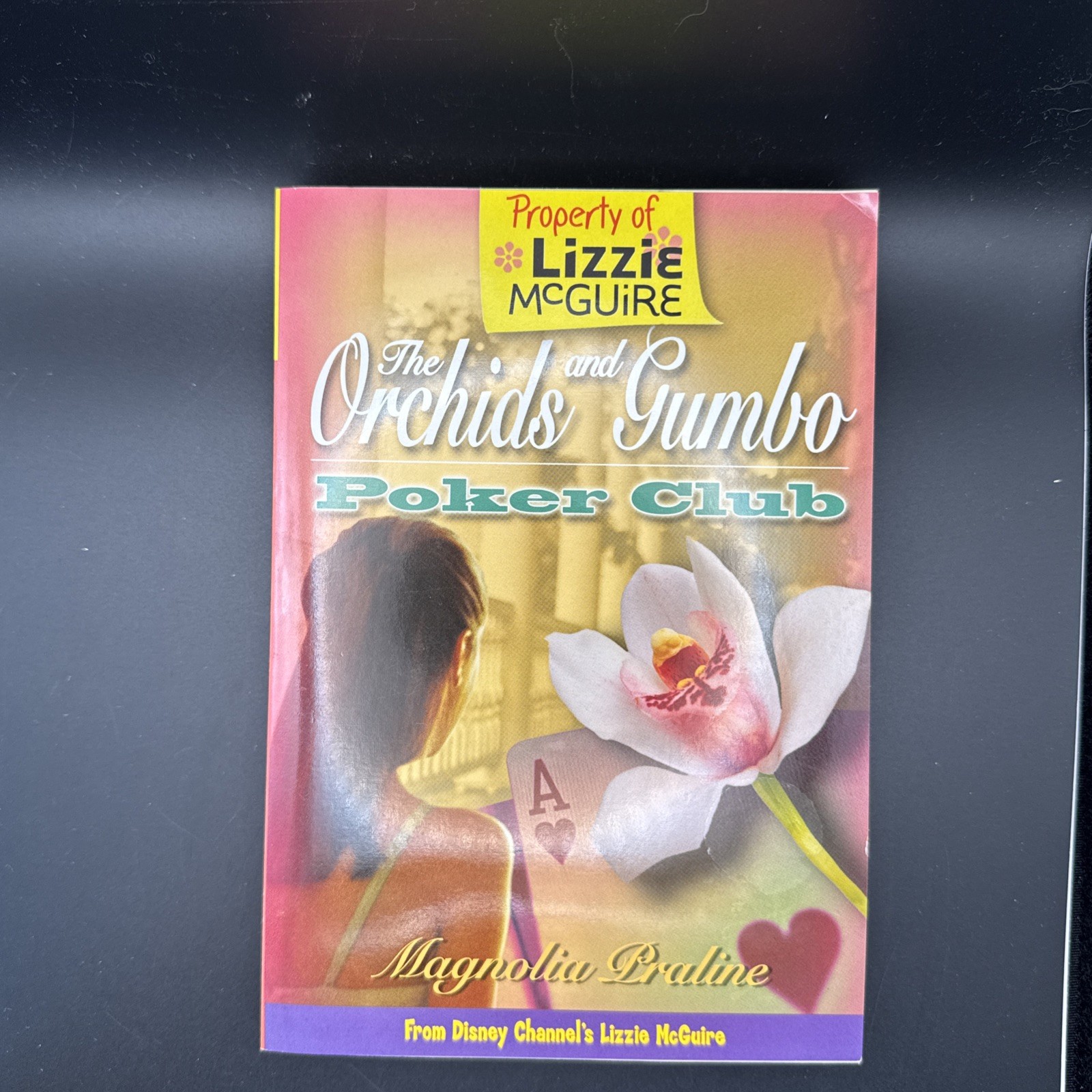 Lot Of 6 Lizzie McGuire Children’s Novels Disney Press Vintage Y2K 2000s