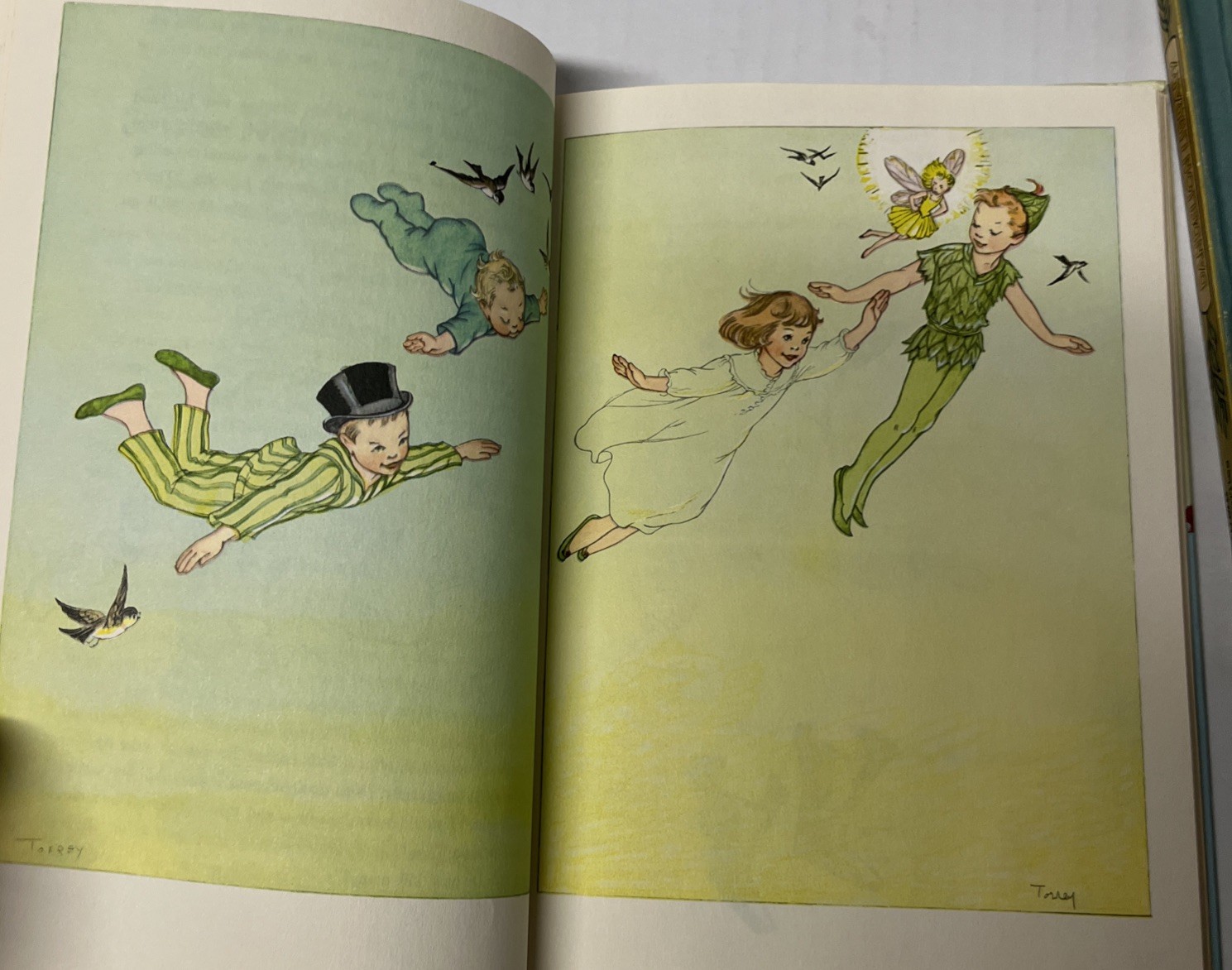 Vintage Dandelion Library Peter Pan/Alice in Wonderland, Tom Thumb/Treasury Lot
