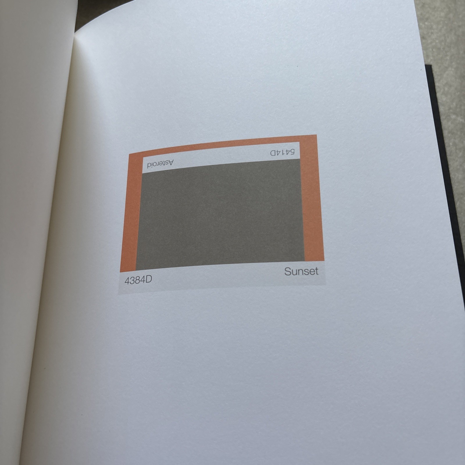 PETER WEGNER Remarks on Color #13/100 Signed & Limited Editions 3 Vol. In Box HC