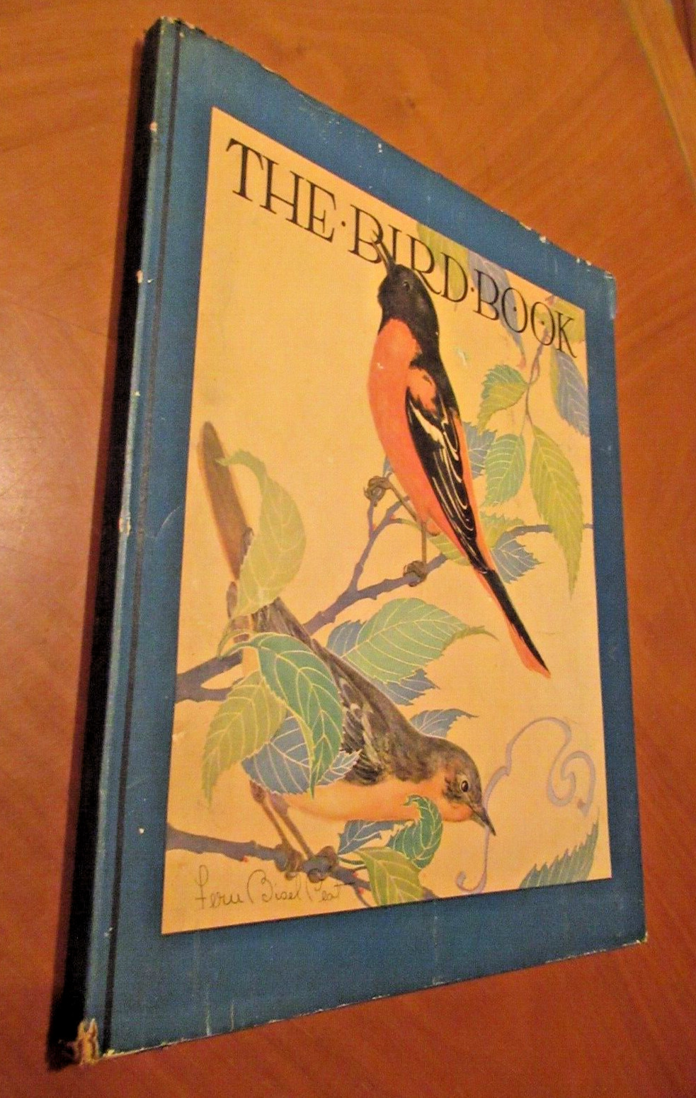 1931 THE BIRD BOOK Shankland Observations of Bird Life Fern Bisel Peat frameable