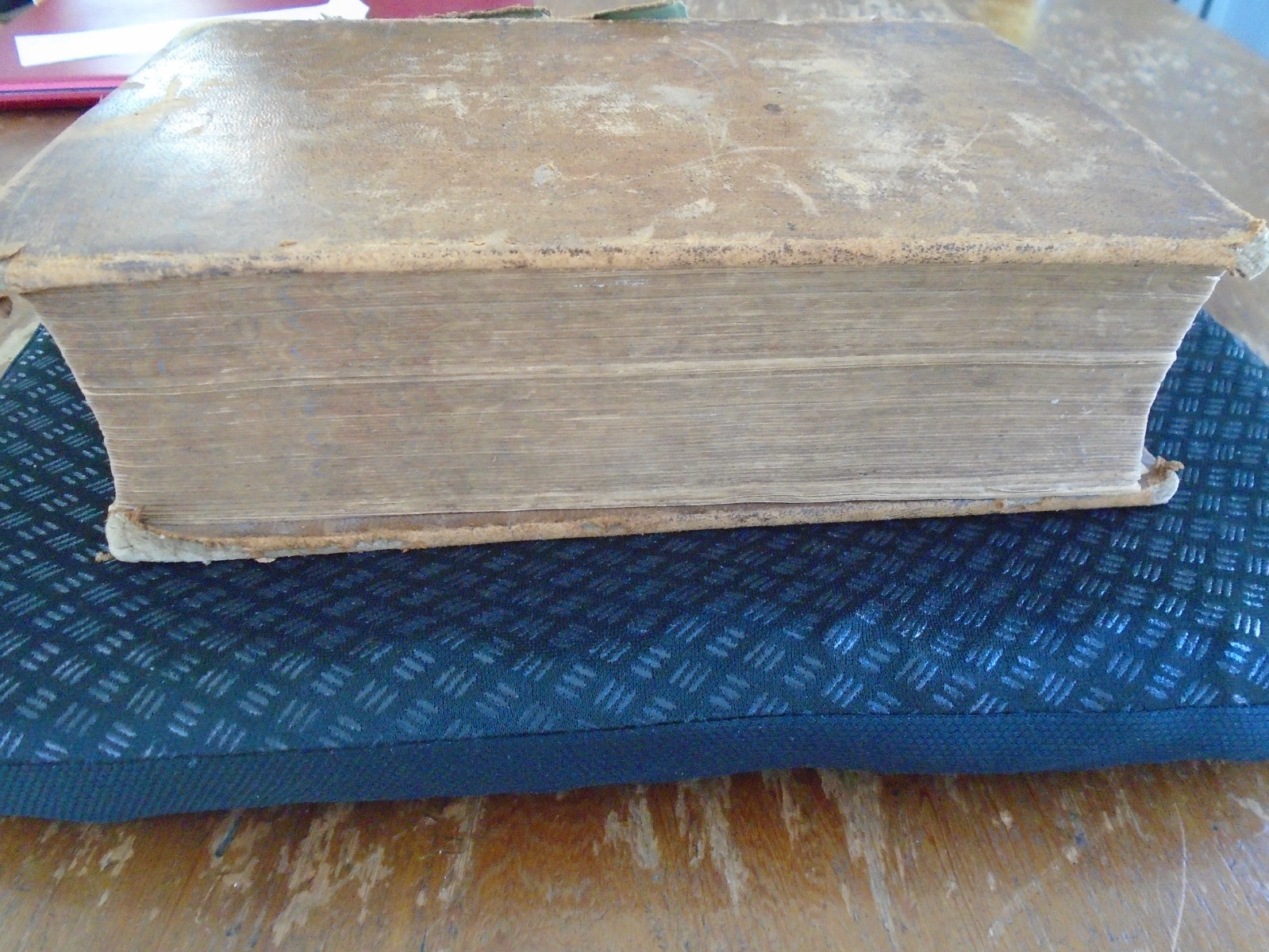 Taming and Educating Horses by D. Magner, 1877, 1112 Pages, 4 1/2 lbs!