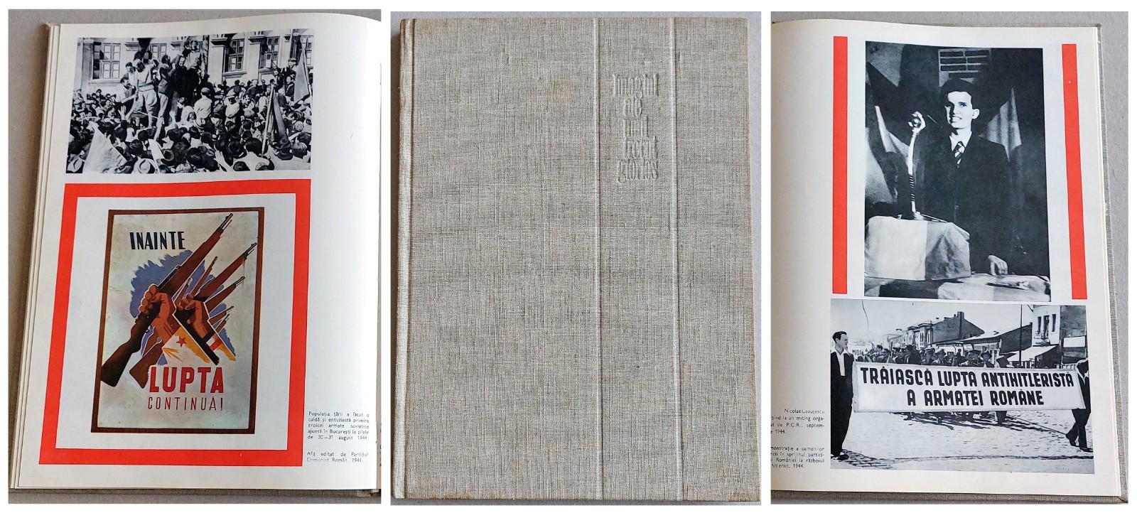 Romanian Communist Party Propaganda – Image of a glorious past illustrated album