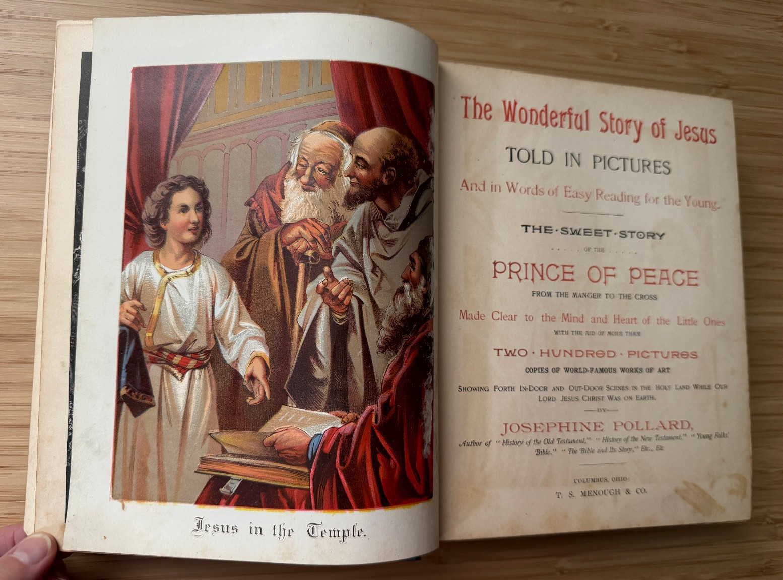 The Wonderful Story of Jesus 1890 200 Youth Children’s Christianity Art Bible