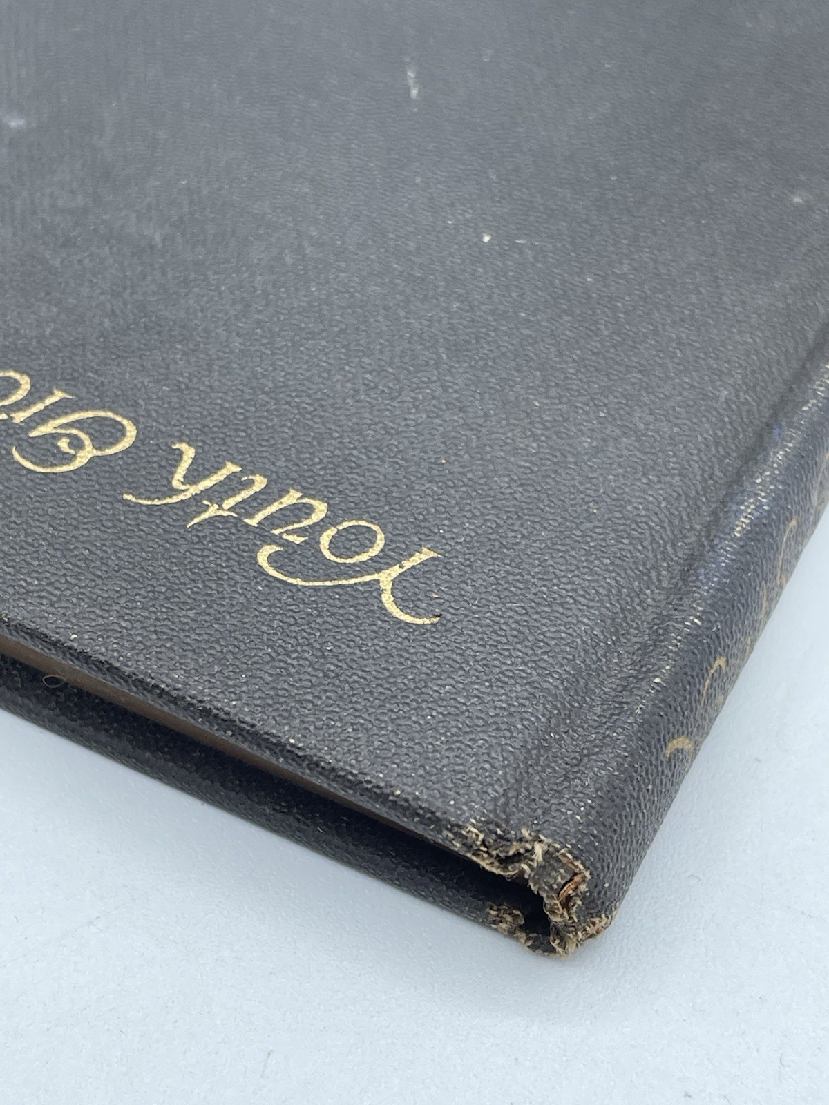 Youth Grows Old by Robert Nathan (Robert M. McBride, 1922, Hardcover)