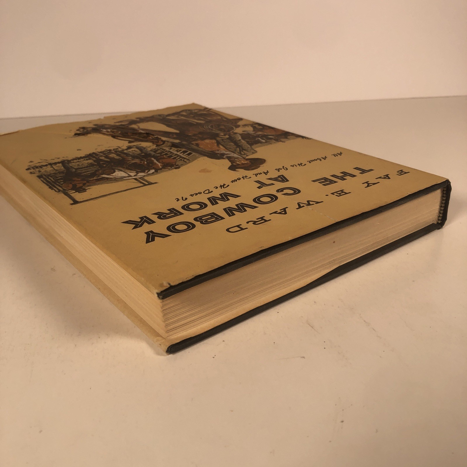 The Cowboy at Work by Fay E. Ward 1958 Hardcover Hastings House Illustrated