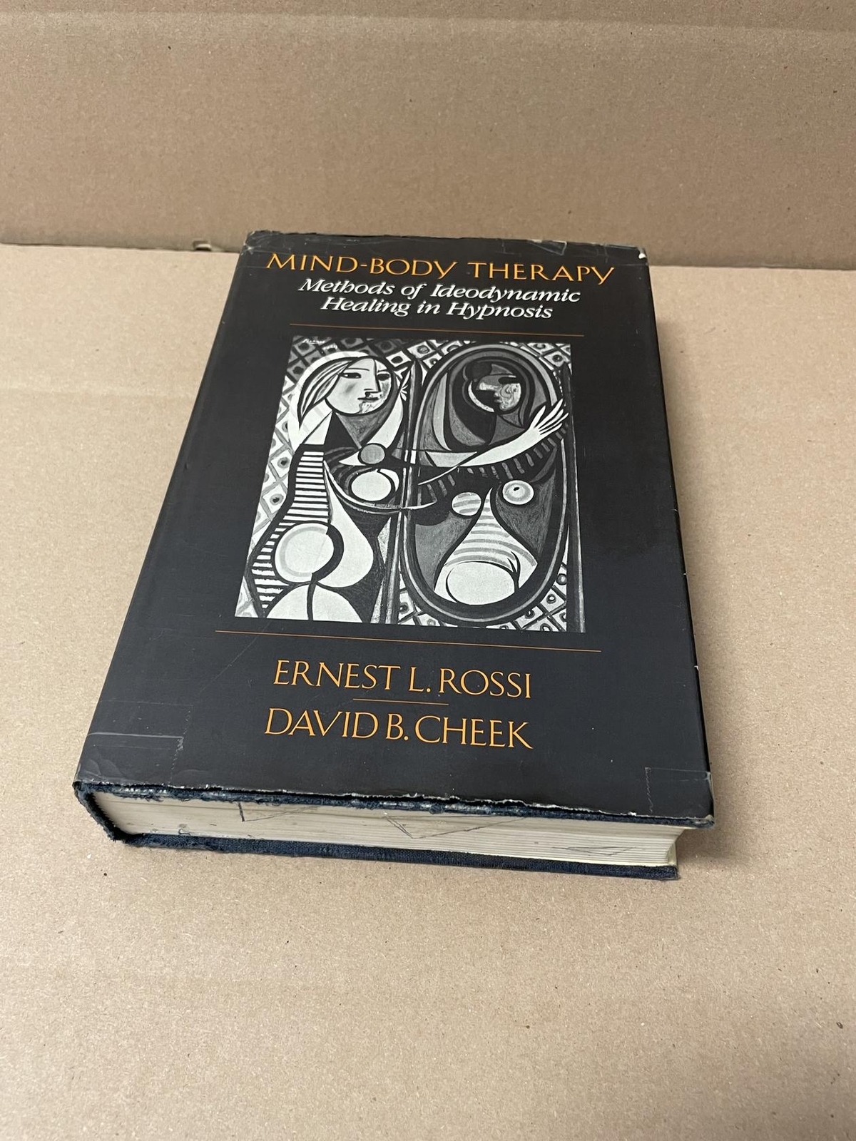 Ernest Rossi, DavidCheek MIND-BODY THERAPY Methods Ideodynamic Healing 1st Ed