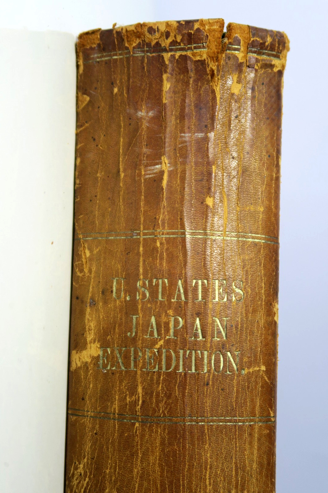 Expedition of an American Squadron China Seas & Japan – Commodore Perry 1856