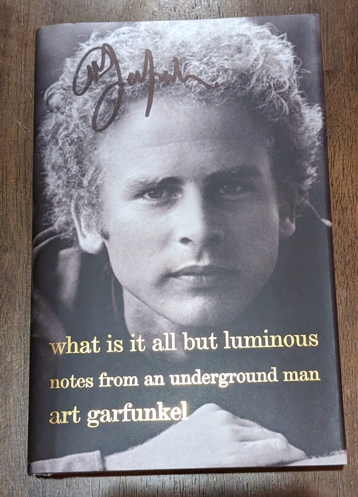 Art Garfunkel Signed 1st Edition What Is It All But Luminous