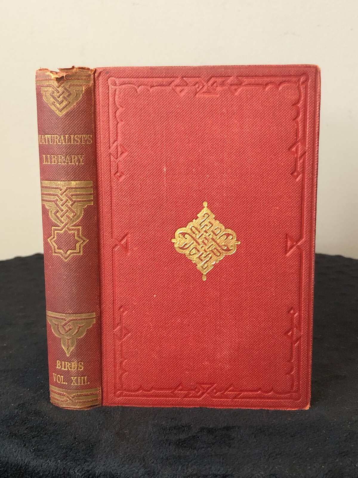 Antique Naturalist’s Library – Ornithology – Vol XIII Flycatchers, Jardine Bohn