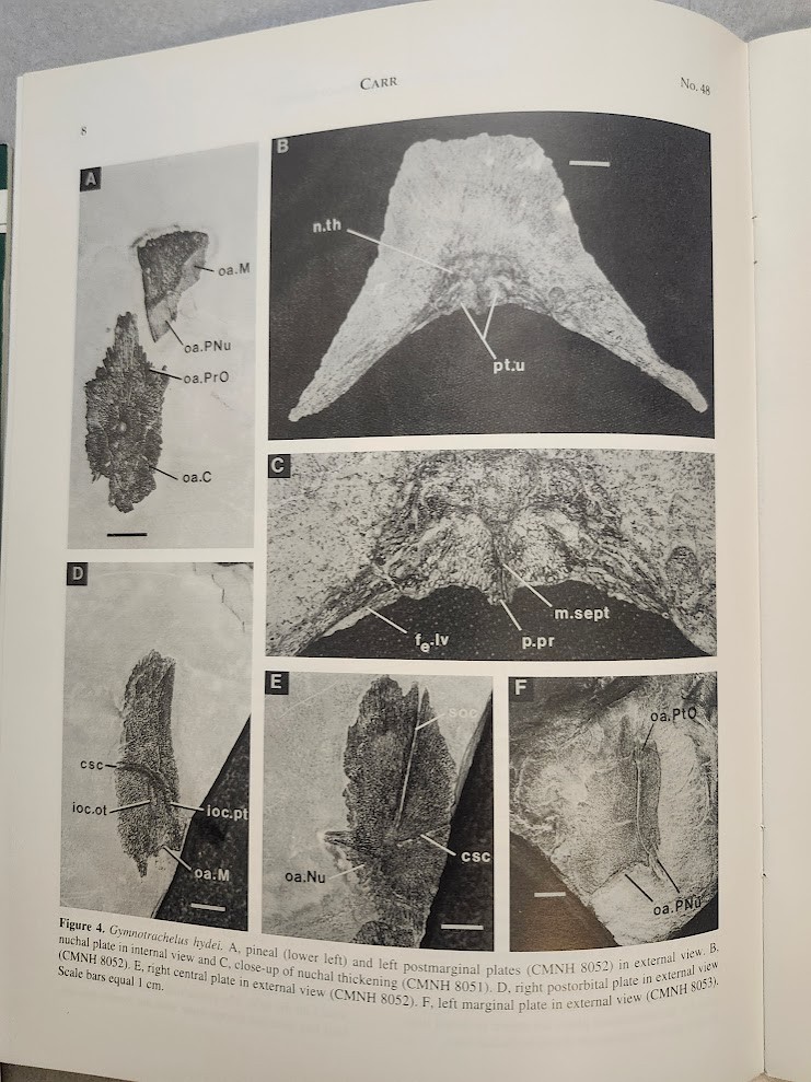 Stephen J. Gould Redescription Placoderm Fossils Cleveland Shale Kirtlandia Rare