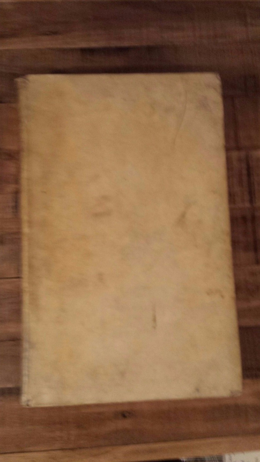 SACRAE ROTAE ROMANAE DECISIONES ET SUMMORUM PONTIFICUM CONST. Vol. 2, 1734