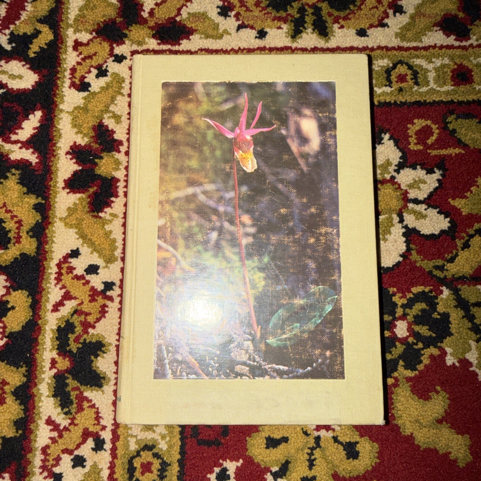 Orchids of The Western Great Lakes Region by Frederick Case 1964 Ecology Genera