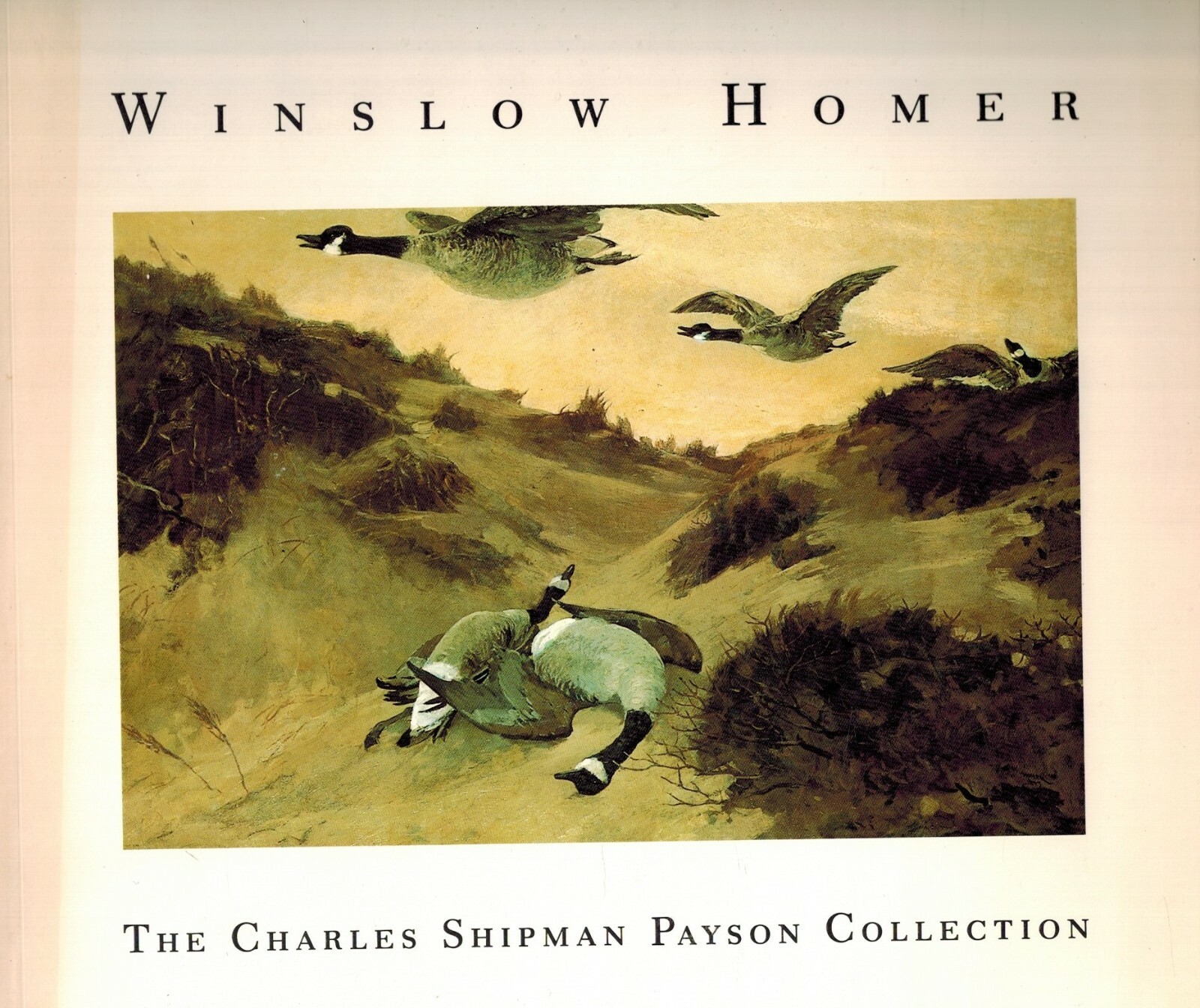 Winslow Homer: Charles Shipman Payson Collection, Portland Maine Museum of Art