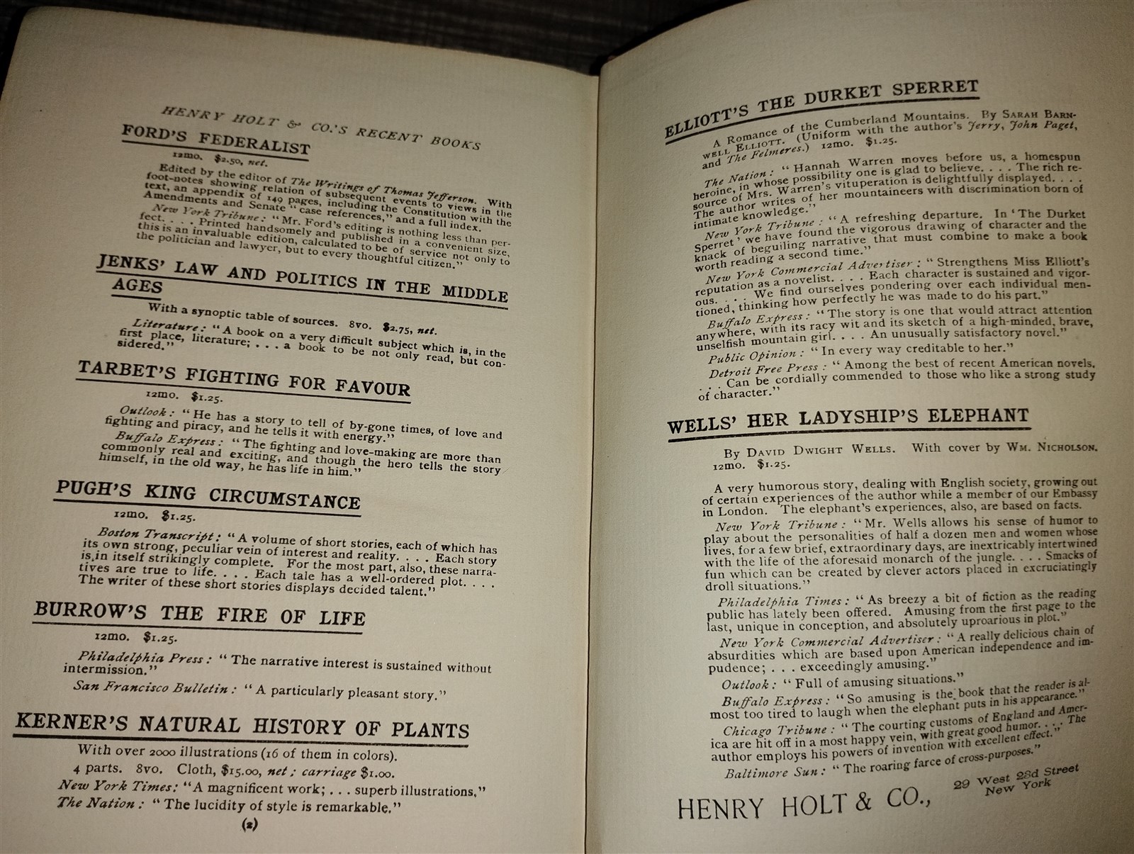 1897 First Edition The Gadfly – Ethel Lilian Voynich Antique Hardcover Book Holt