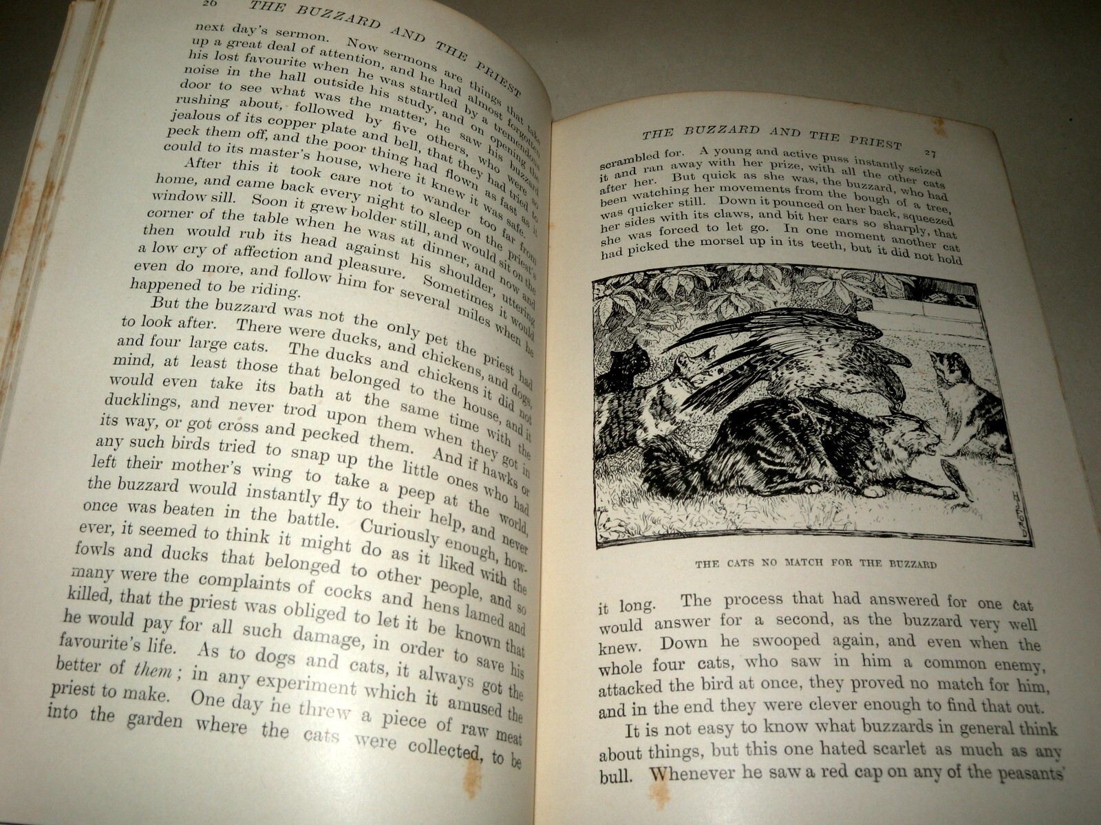 The Animal Story Book, Andrew Lang, HB, 1896, Longmans Green And Co,