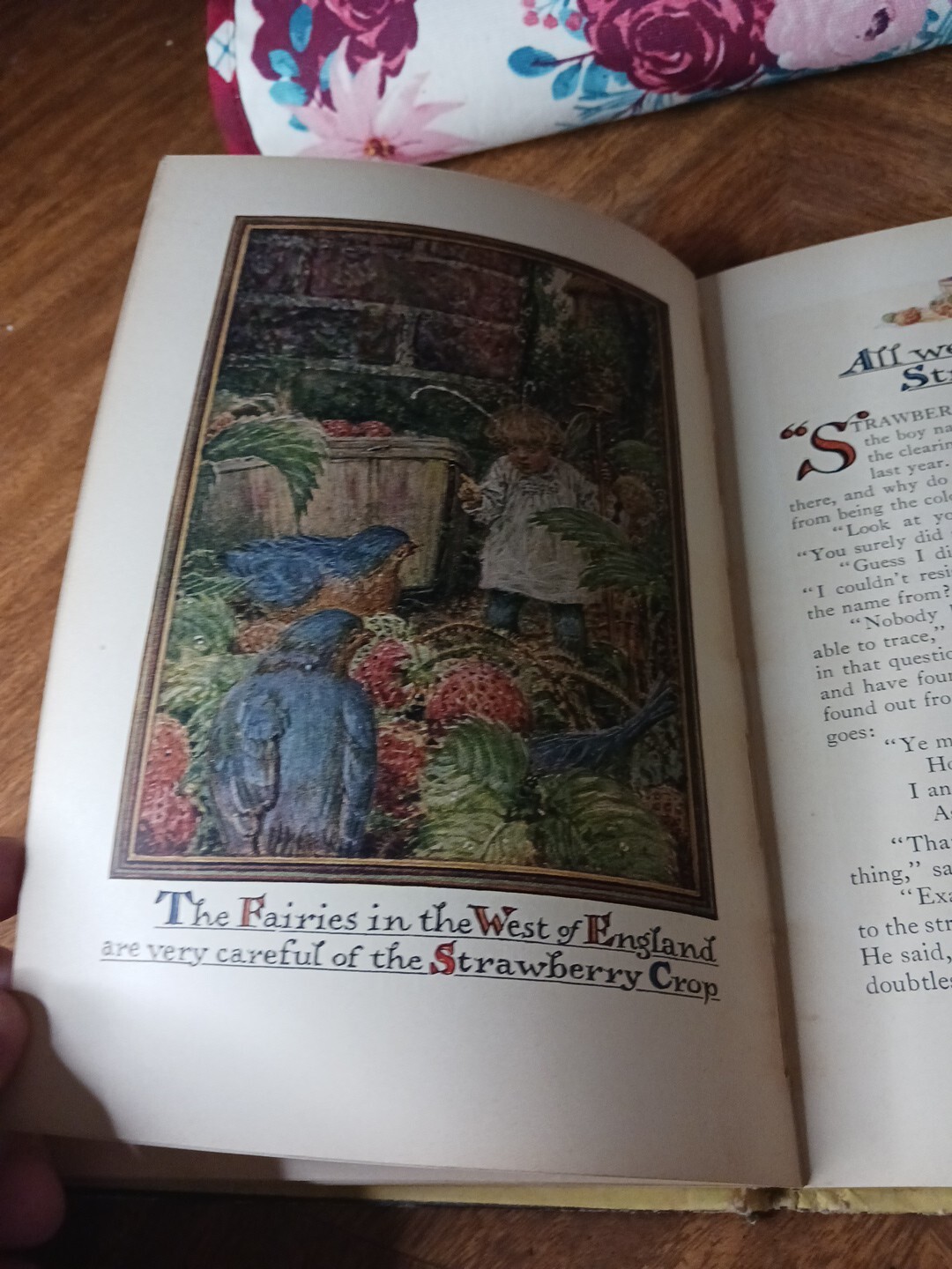 Vtg Really So Stories Elizabeth Gordon John Rae 1924 P.F. Volland 22n Ed HC