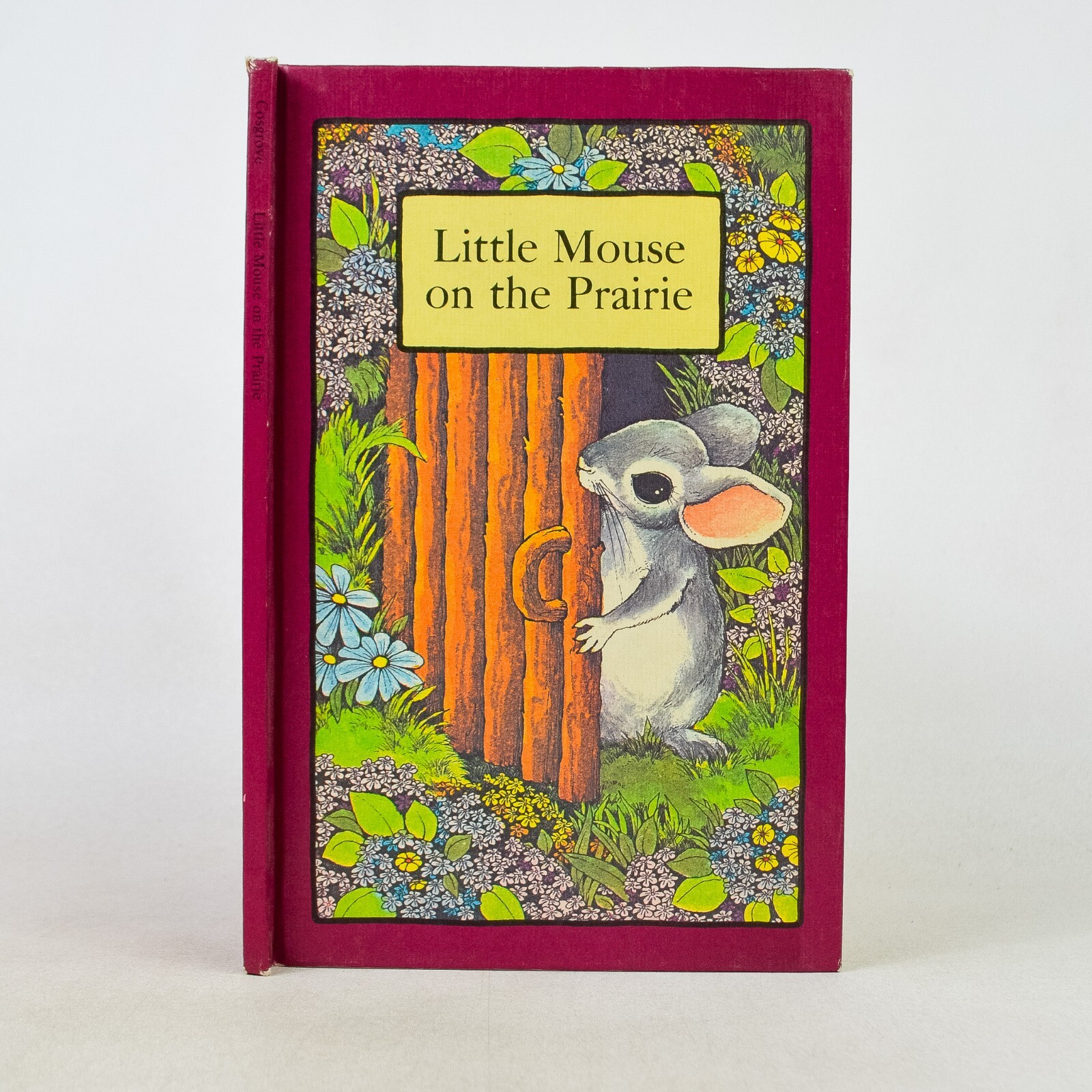 Little Mouse on the Prairie – Serendipity Book Cosgrove & James