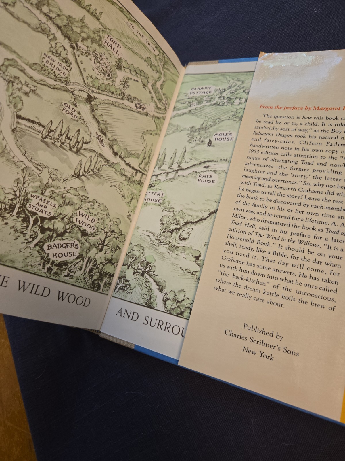 The Wind in the Willows Grahame Shepard 75th Anniversary Edition Scribners nice