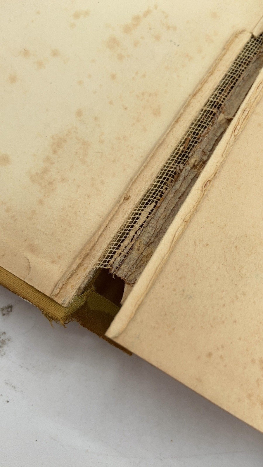 Freckles Gene Stratton-Porter Hardcover 1904