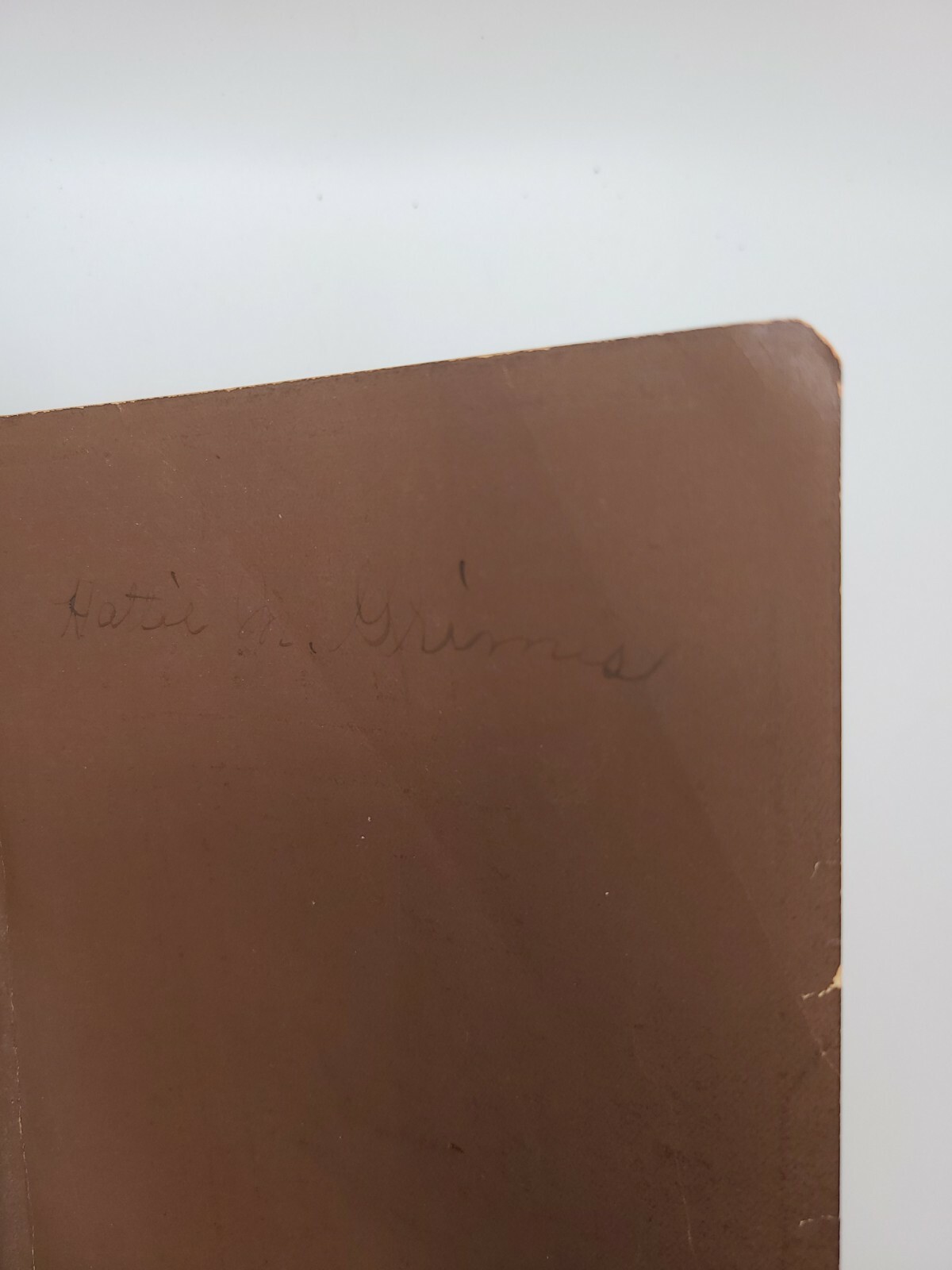 The System Bible Study Revised And Enlarged Edition Of 1933 leather Dark Brown