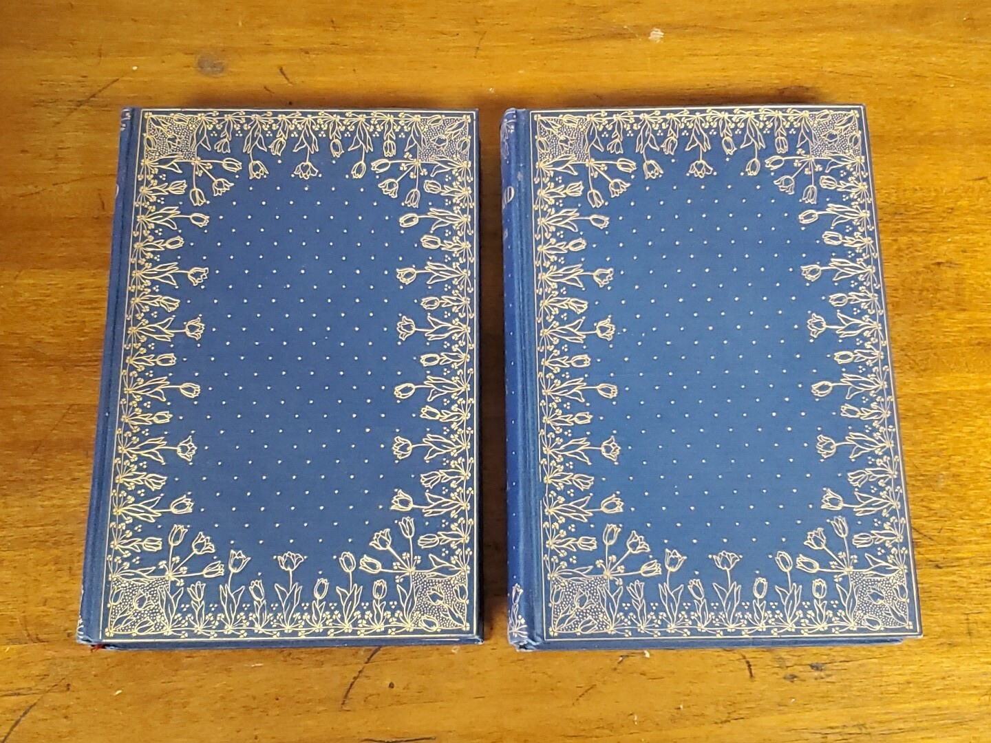 Holland – in 2 Volumes by Edmondo de Amicis / 1894 Porter & Coates / Illustrated