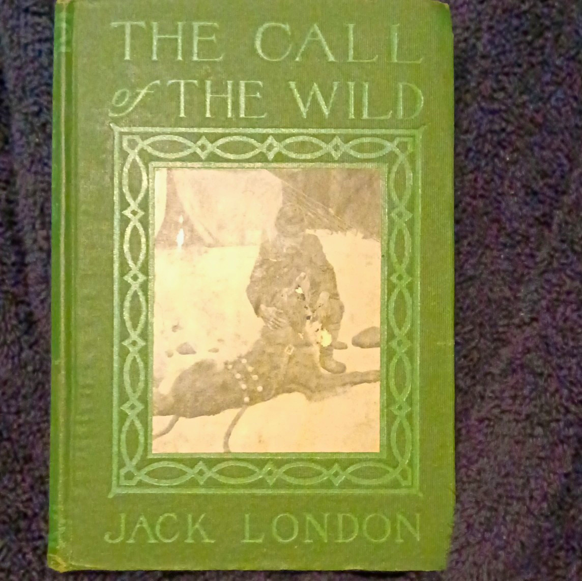 Jack London The Call of the Wild Hardcover Illustrated Macmillan 1903