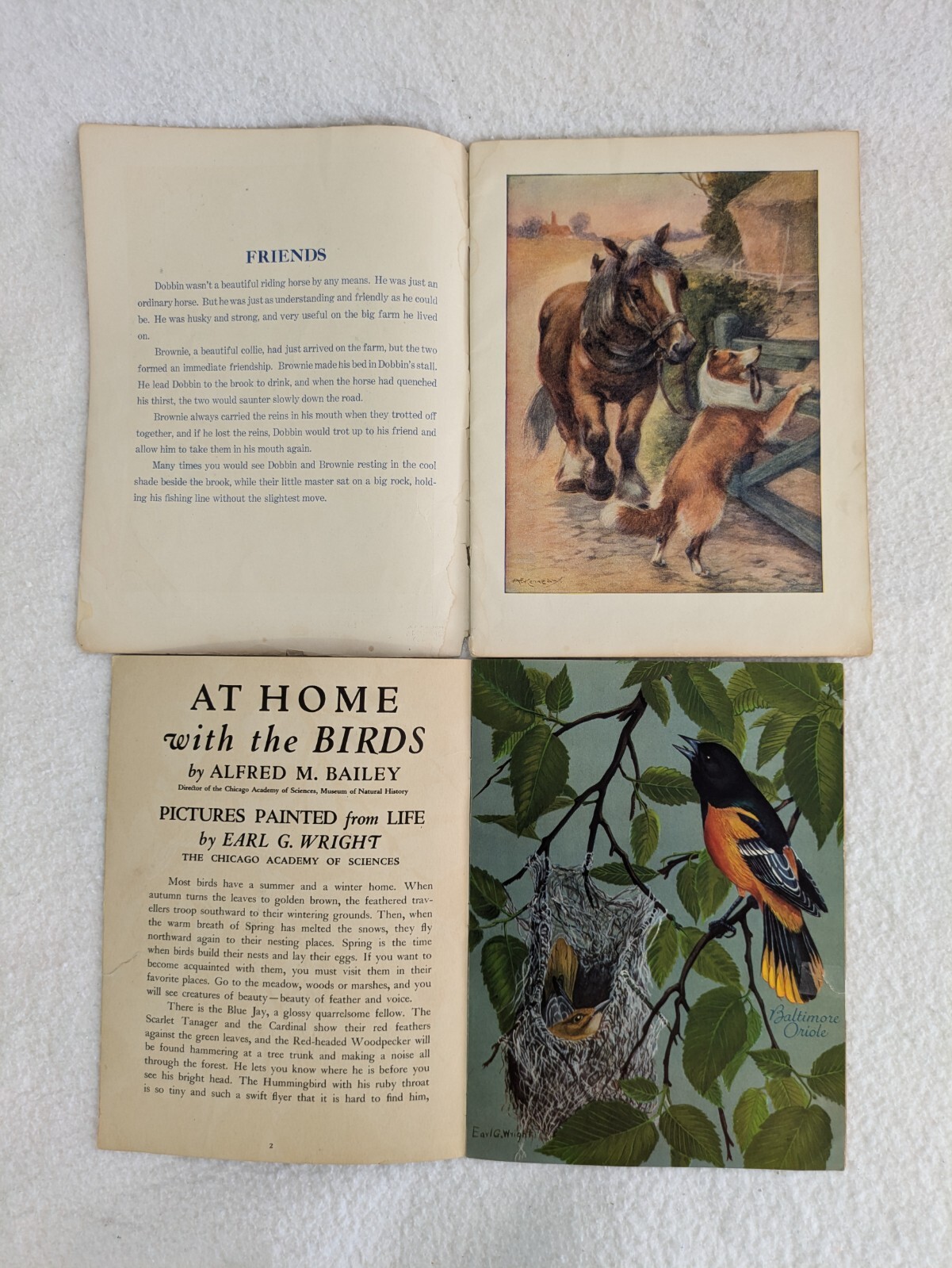 Lot of 6 Vintage CHILDREN’S ANIMAL PICTURE BOOKS Birds Wild Animals Kittens