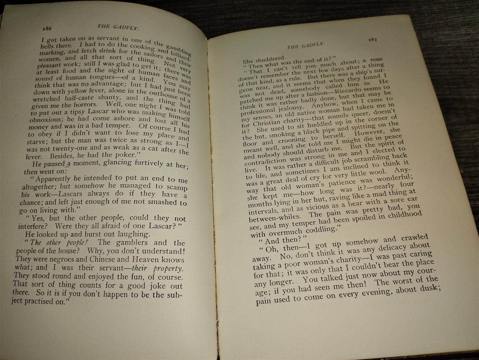 1897 First Edition The Gadfly – Ethel Lilian Voynich Antique Hardcover Book Holt