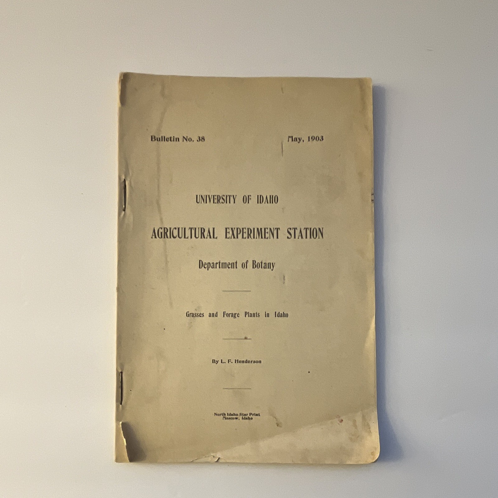 L. F. Henderson Grasses and Forage Plants in Idaho 1903 Illustrated SC
