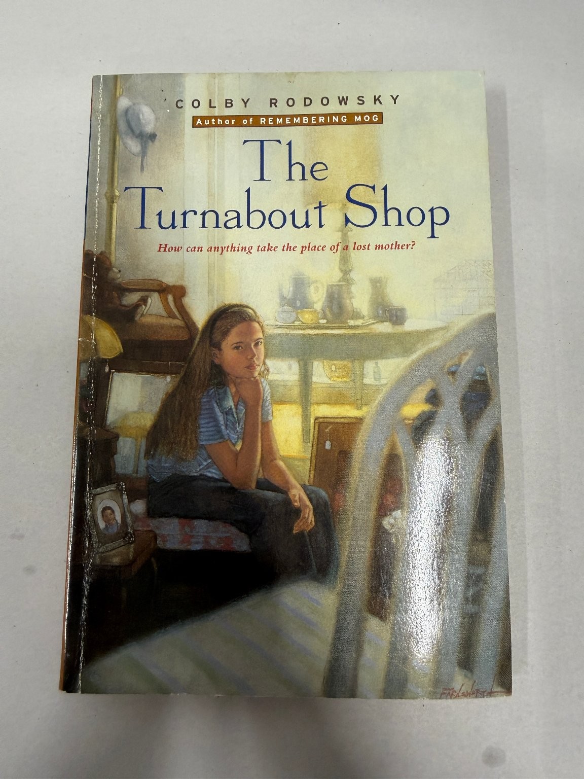 The Turnabout Shop Colby Rodowsky 2000 Juvenile Fiction Illustrated