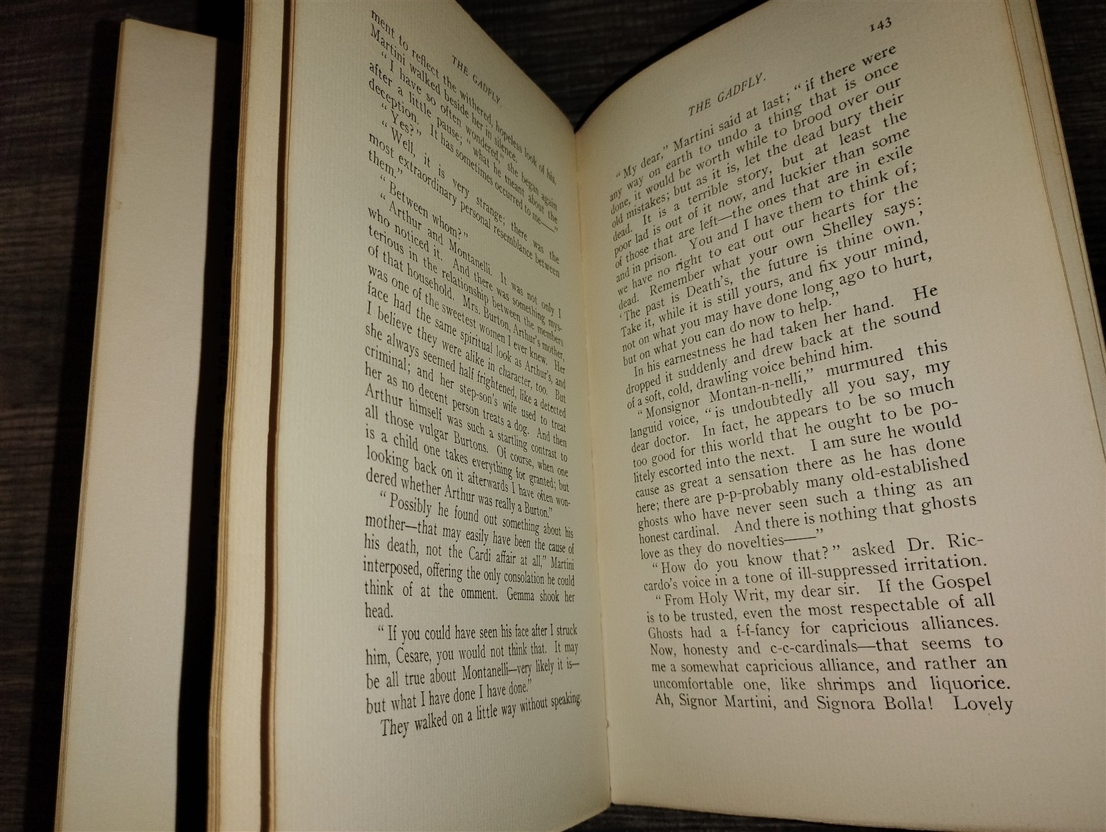 1897 First Edition The Gadfly – Ethel Lilian Voynich Antique Hardcover Book Holt