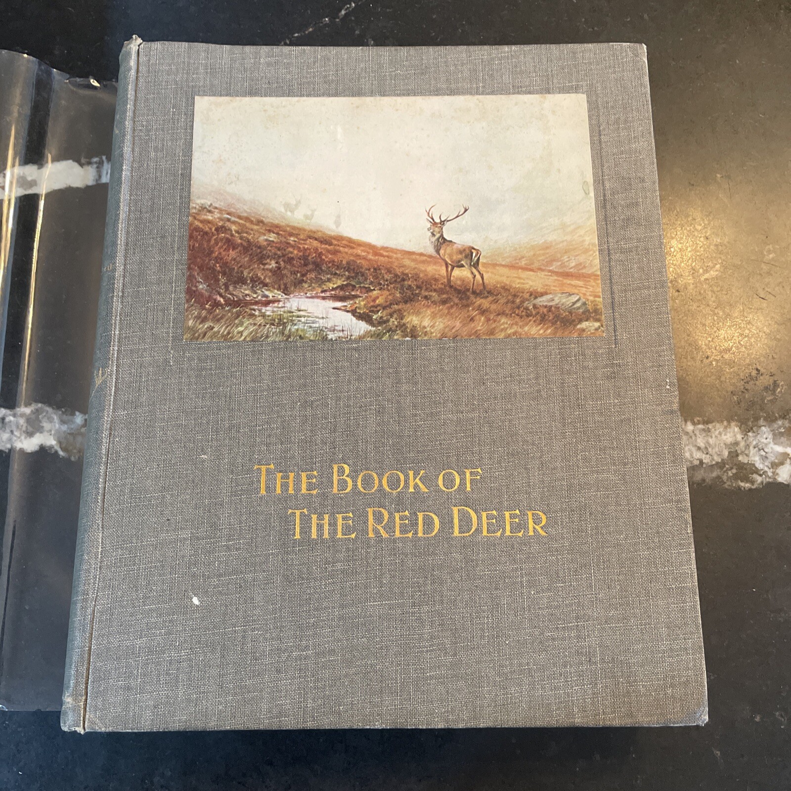 The Book of the Red Deer – John Ross – 1925 1st ed. signed w/ letter
