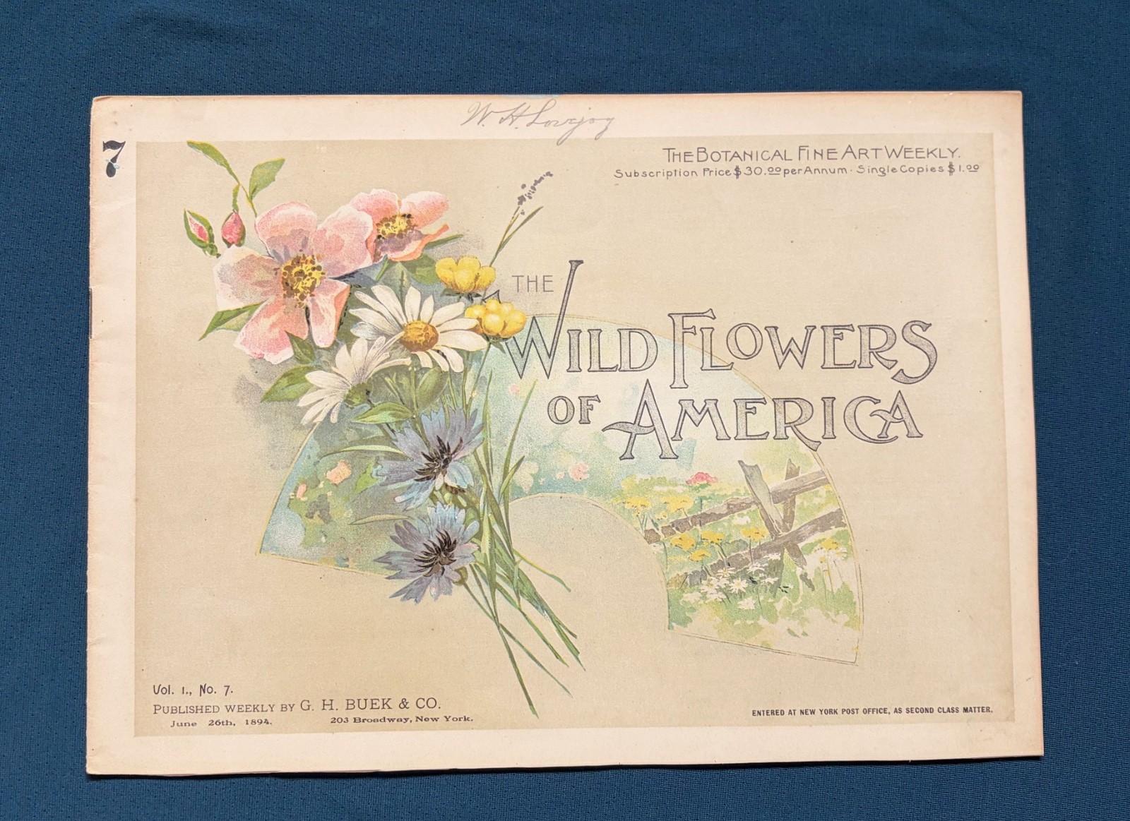 1894 The Wild Flowers of America Vol 1 No 7 ~ Maud Humphrey color art
