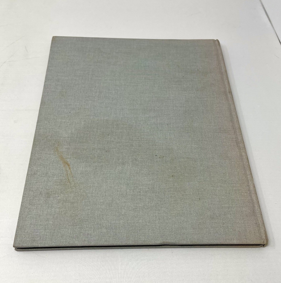 Aristide Maillol: Sculpture 1997 C & M Arts Exhibition Catalog April 10-June 7