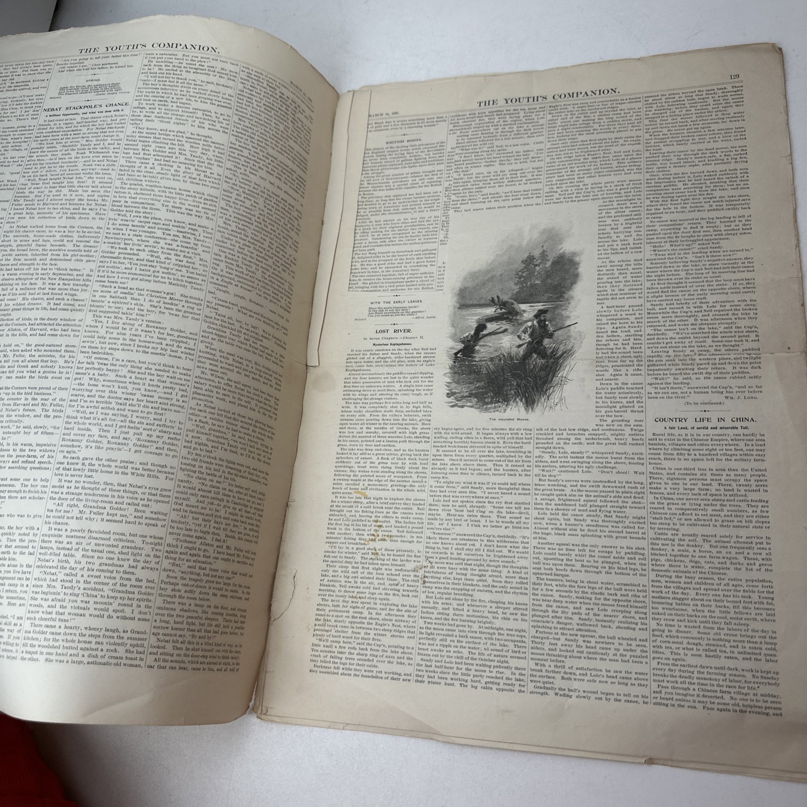 The Youth’s Companion July 4th 1895, New Year’s 1901 Lot of 5 Antique Magazines