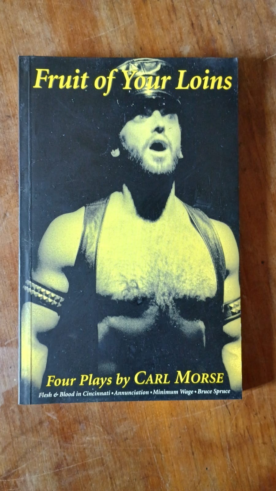 Fruits of Your Loins Four Plays by Carl Morse Gay Writing Theatre Leather Pic