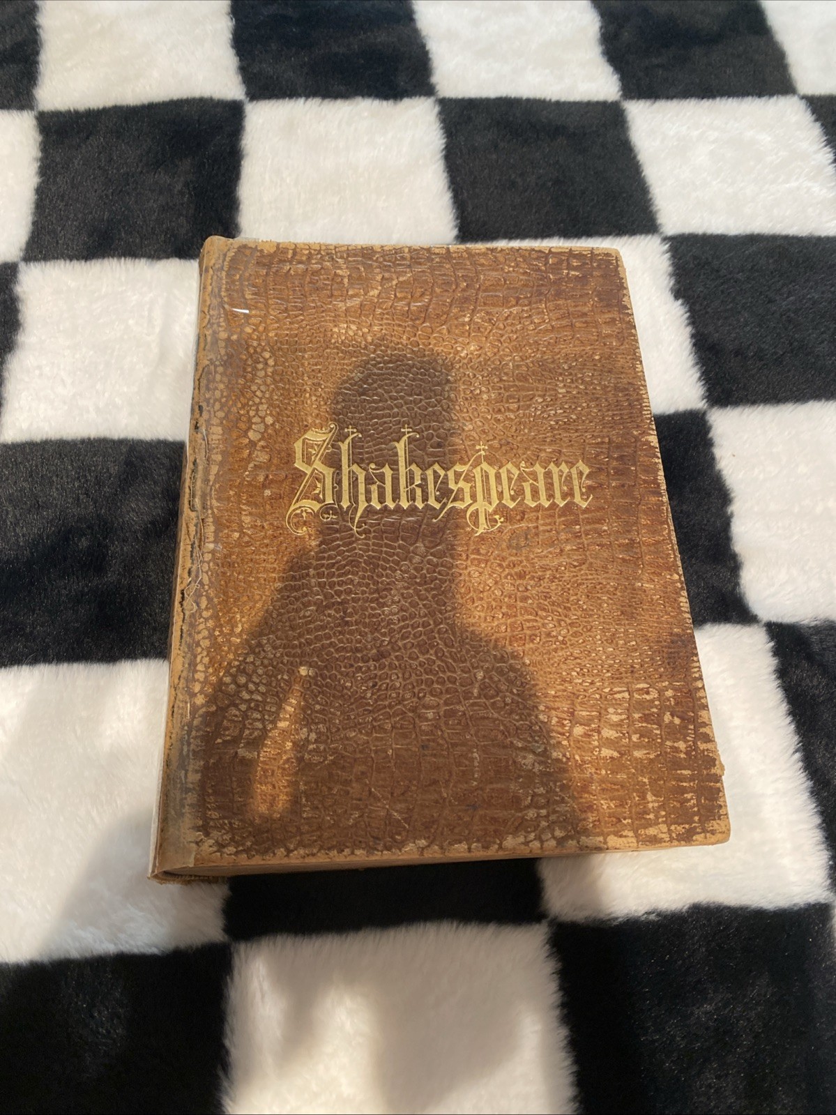 Shakespeare’s Complete Works Porter And Coates 1879 Leather Bound Book