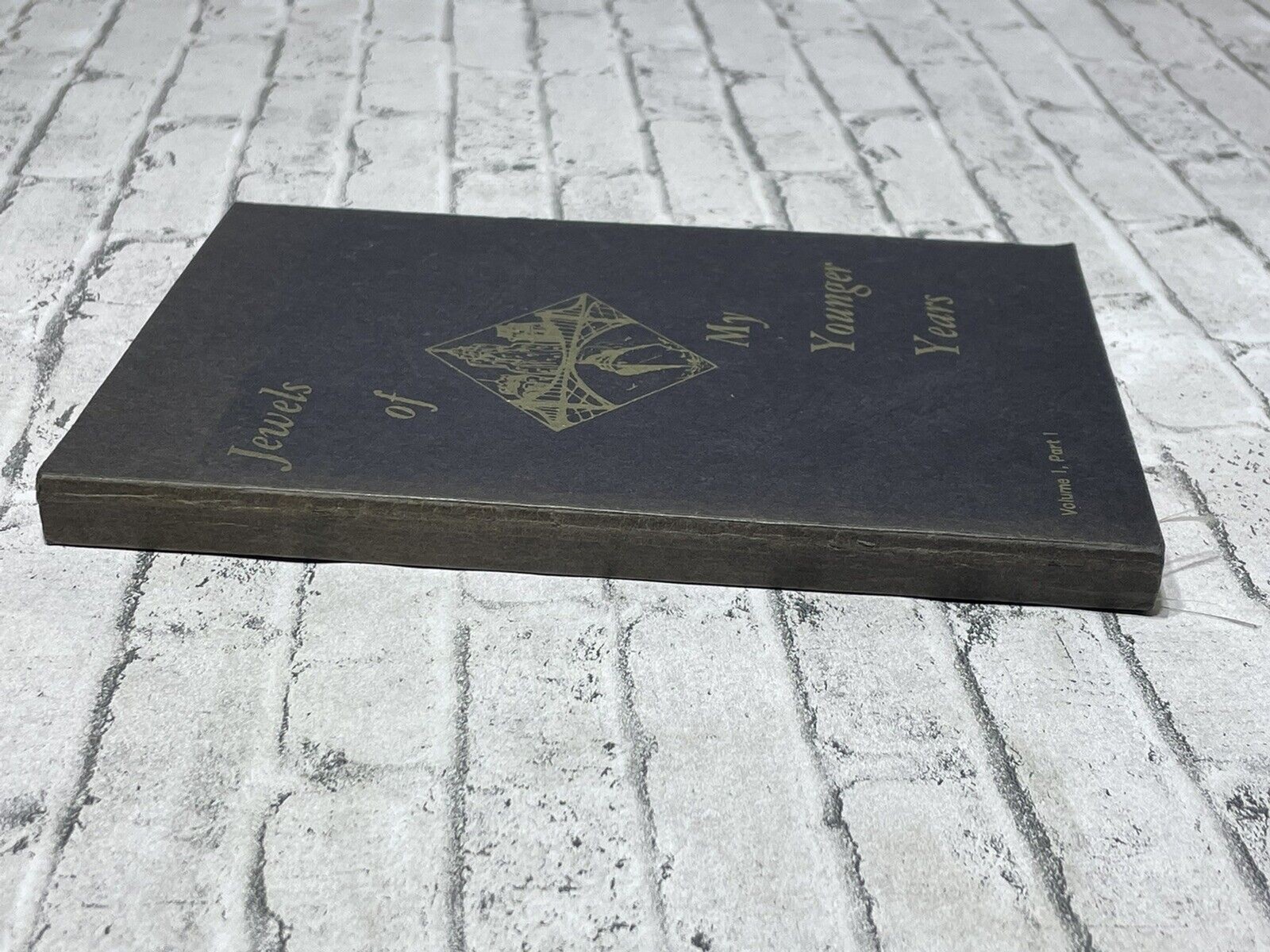 1964 Jewels of my Younger Years Vol. 1 John W. Fields Signed Detroit Poetry
