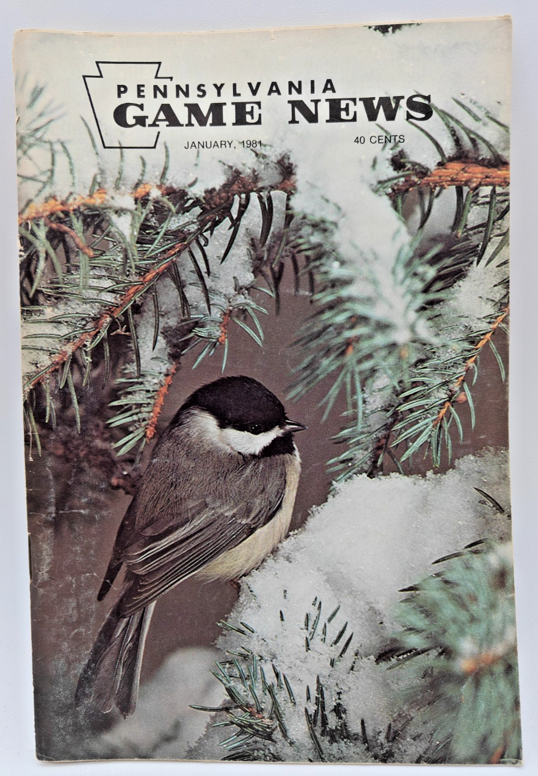 Vintage 1981 Pennsylvania Game News Magazine Harrisburg PA January 1981